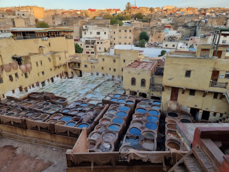 Tannerie Chouara